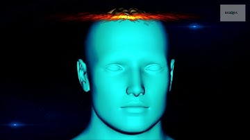 THE FORGETTING CURVE: Why We Forget 70% of What We Learn (And 3 Ways to Stop It)