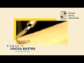 Advanced Cocoa Butter Processing: From Beans to Butter
