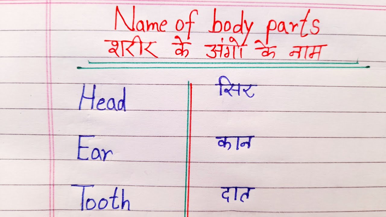 Body Parts Name Body Parts Name In Hindi To English Sharir Ke Ango body-parts-name-body-parts-name-in-hindi-to-english-sharir-ke-ango