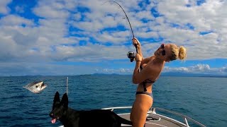 Tuna & Coral Trout Catch & Cook || Camping on Remote Beach