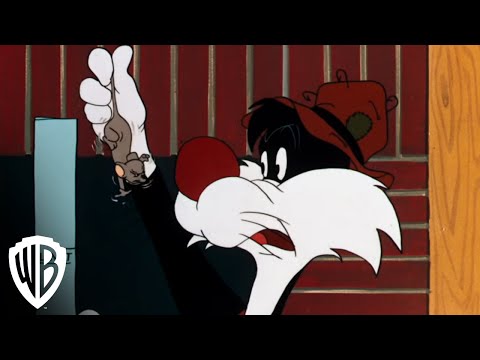 Looney Tunes Super Stars: Sylvester & Hippety Hopper - "Hop Look Listen" - Fishing