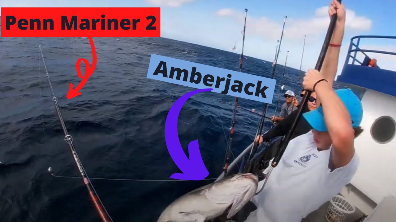 Penn Mariner 2 Rod/ Penn Squall Two Speed Reel- Deep Sea Amberjack Test 