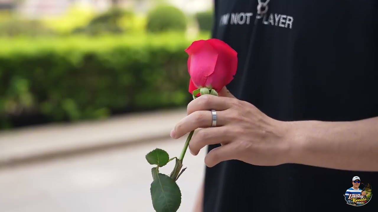 🌸 “A Symphony of Blossoms: Nature’s Colorful Masterpiece” 🌺