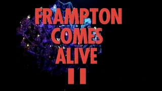 Peter Frampton - Frampton Comes Alive! II (1995) [60FPS]