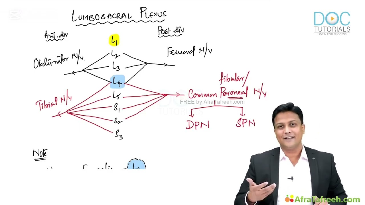 1. Lumbosacral Plexus & Major Nerves | Lower Limb Anatomy | Dr. Azam | Medical Maven