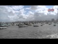 نوة رأس السنة تعاند صيادو