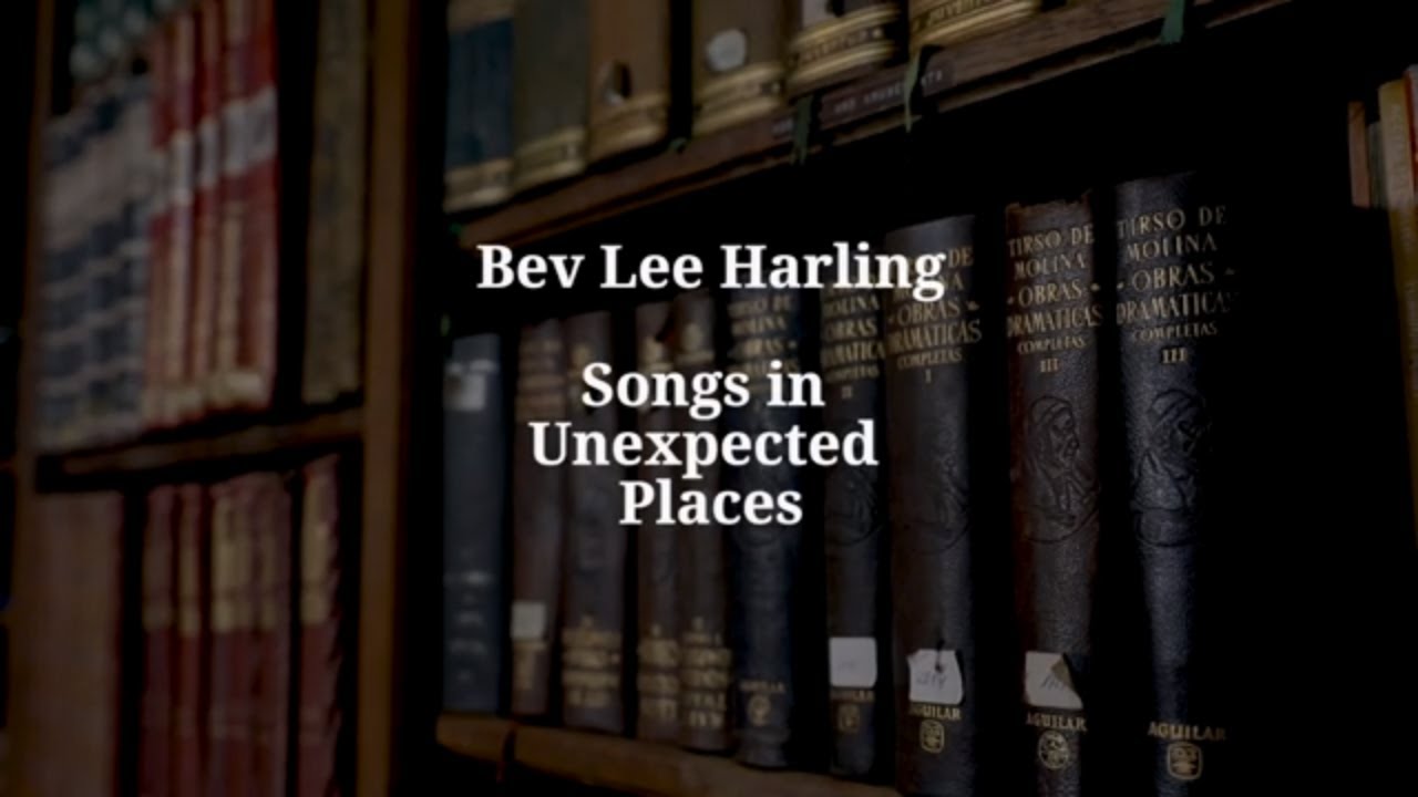 Songs In Unexpected Places 1 - Man Under My Bed - Bev Lee Harling