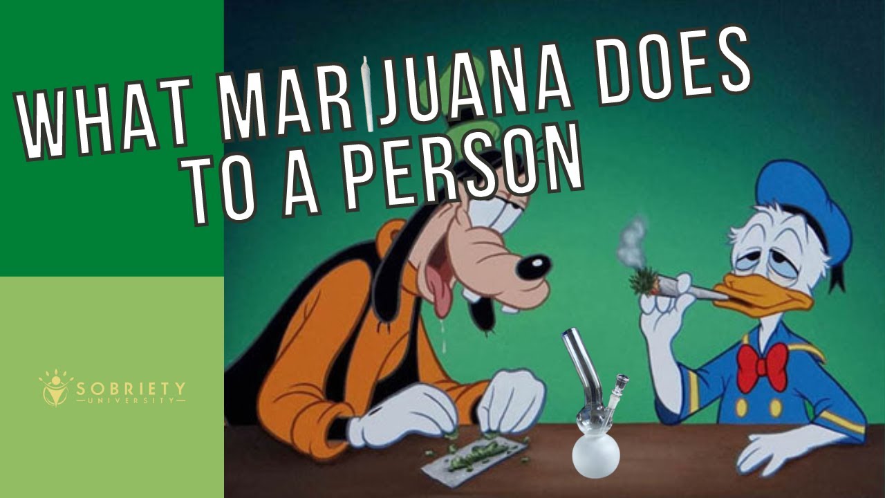 What Marijuana REALLY Does To A Person