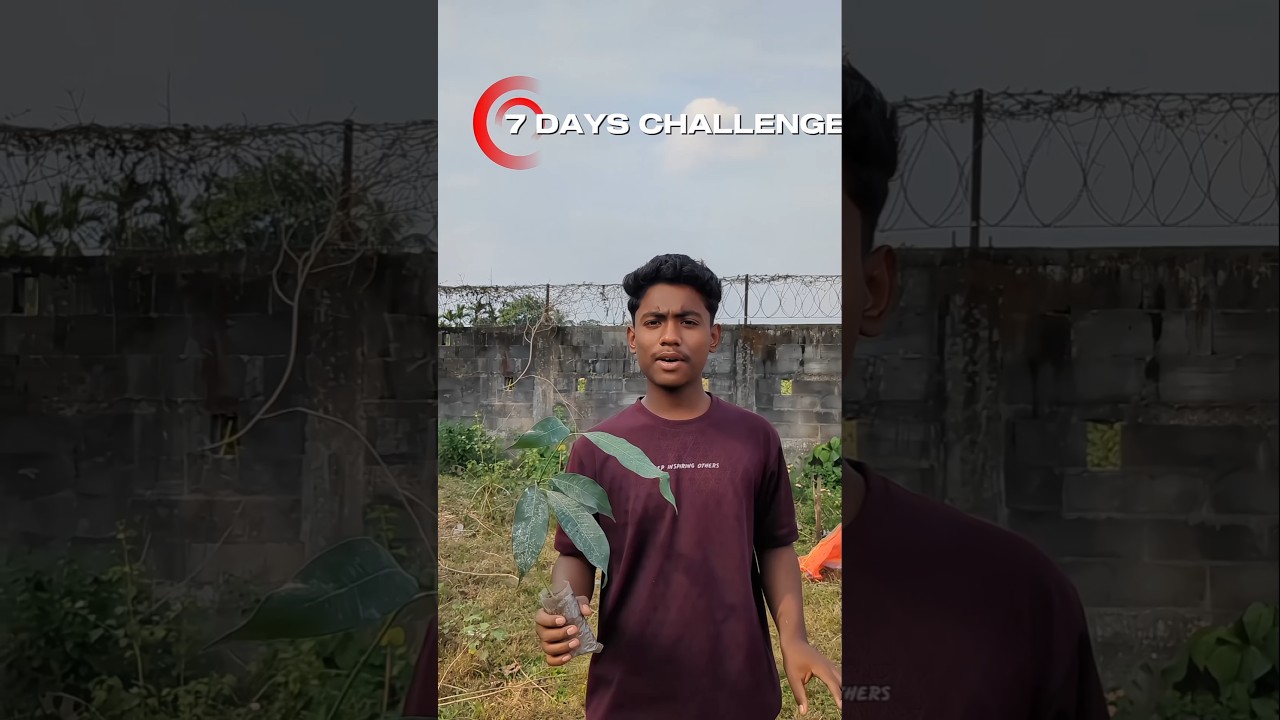 (DAY 3/ 7 DAY CHALLANGE TREE PLANTING 🌱💚........