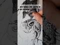 Drawing process of nocturnal owl with dip pen #dippen #drawing  #owl #owldrawing  #inkdrawing #ink