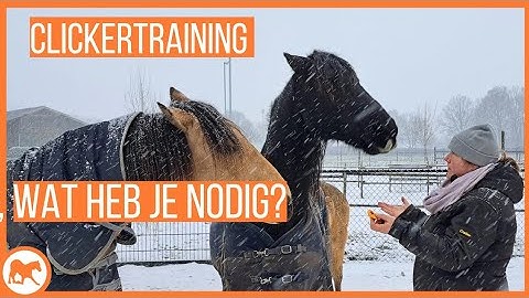 Starten met clickertraining; wat heb je nodig?
