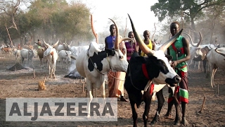 South Sudan counts human cost of deadly cattle raids