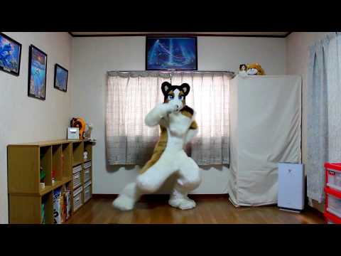 【しぇっと君】着ぐるみでつばきファクトリー「低温火傷」を踊ってみた (Fursuit dance cover)