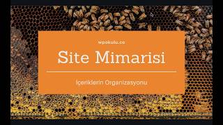 Seo İçin Site Mimarisi Nasıl Oluşturulur? Silolama Yöntemi Nedir? Wpokulu 2019