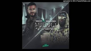 Maluma Ft. Sech - Instinto Natural