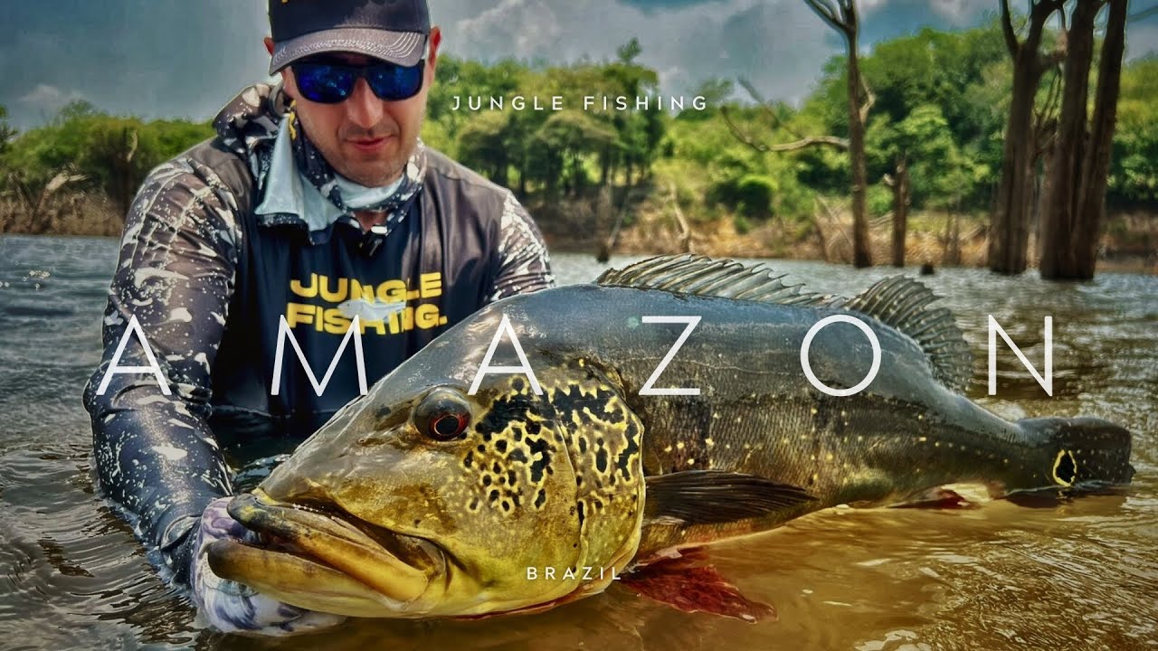 JUNGLE FISHING IN THE BRAZILIAN  