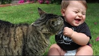 Süße Babys lachen hysterisch auf Haustiere Compilation 2017