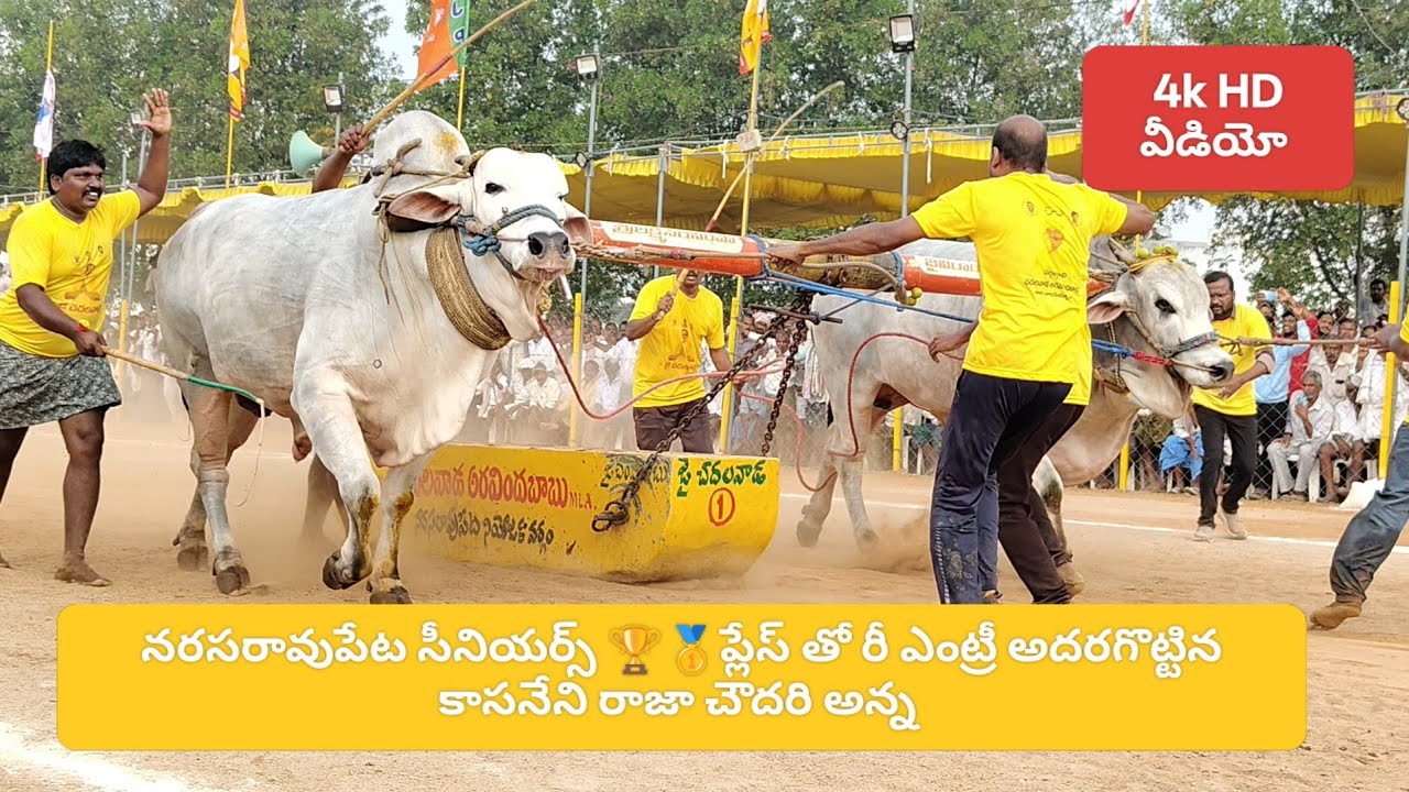 Narasaraopet seniors 