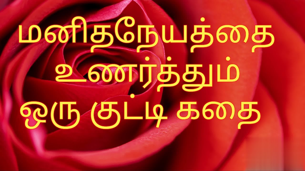 Story about humanity in Tamil     Motivational story in Tamil