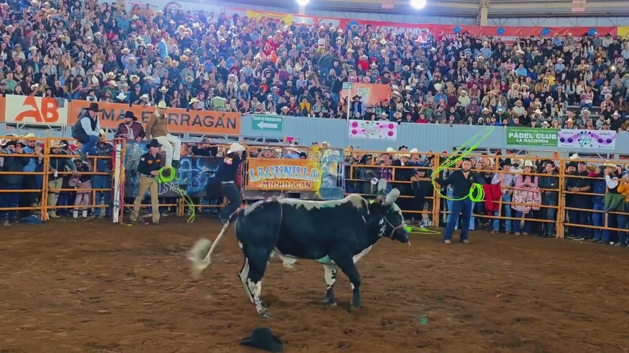 Jaripeo de lujo Gr@tis en 