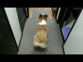 Middle of video