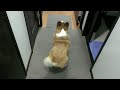 End of video