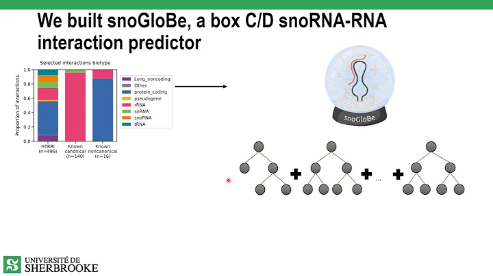 Predicting box C/D snoRNA... - Gabrielle Deschamps...