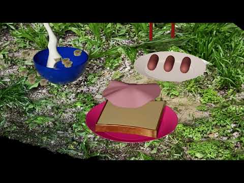 『ROOM』（蓑 いづみ）【WOW Student Program 2025 制作作品】