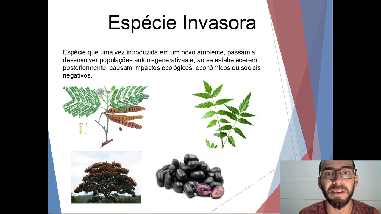 Coffret cadeau pour maîtresse ou maître