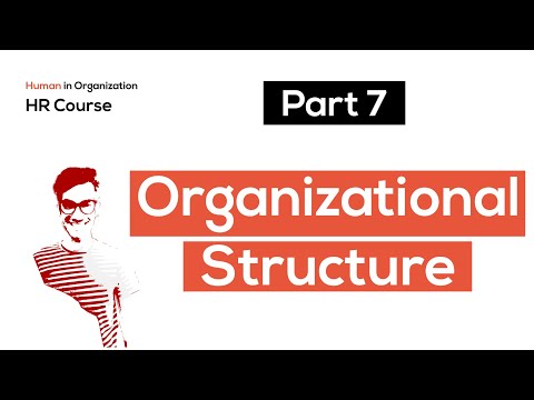 تصویری: ساختار سازمانی بخش سازمانی