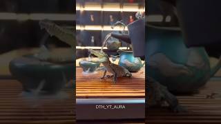 water animal version🥶