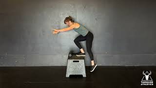 Squat Hold Box Tap Down