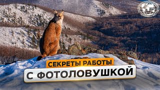 Снято на фотоловушку | @Русское географическое общество