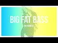 Miniature de la vidéo de la chanson Big Fat Bass (Hlm Remix)