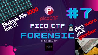 PicoCTF (Forensic) [like1000] [m00nwalk] #7