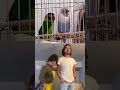 Who Is Copying Shorts Viral Dance Dancing 