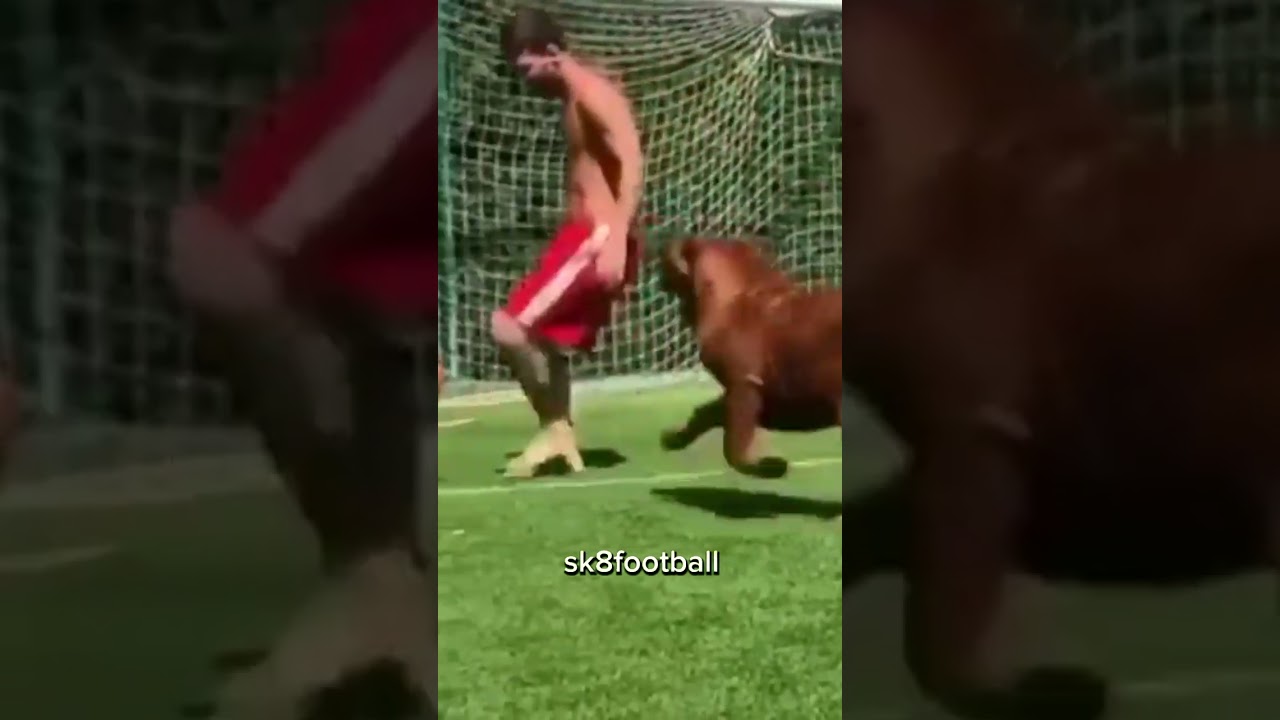 ronaldo vs bull 