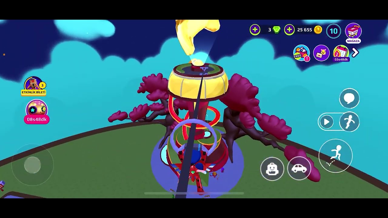 Gizlenmiş pet PK CD