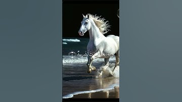 #اكسبلور #سوره العاديات #لايك #اكسبلور_explore