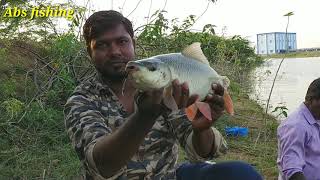 Fish hunting | Sing shikar | Rohu fish catching | Amazing  fish catching | fishing videos