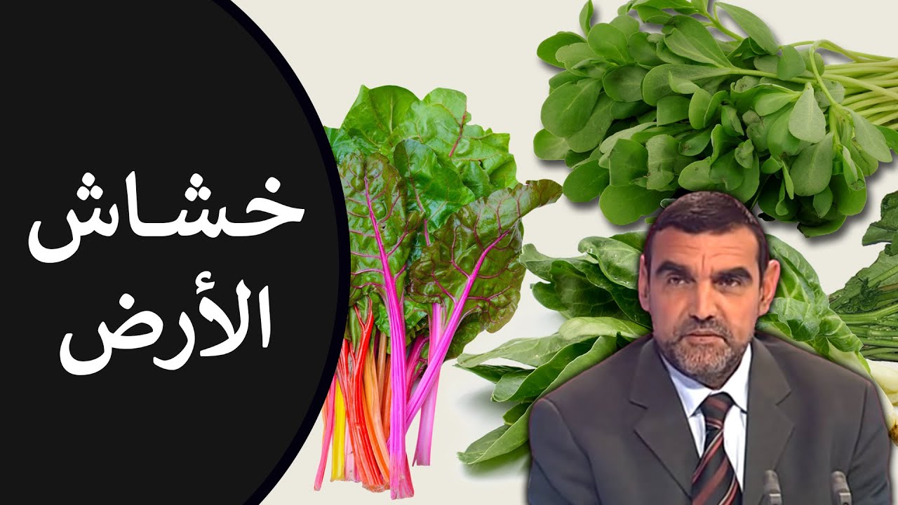 🔸 الخبيزة والسلق 🌿 فوائدها في تنقية الجسم من السموم وتعزيز المناعة! 🍃 د. محمد الفايد #نخل_ورمان_ملخص