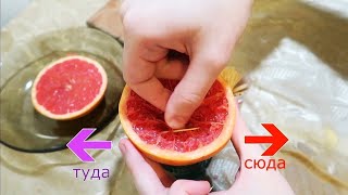 КАК СДЕЛАТЬ КАЛЬЯН НА ФРУКТАХ - Фруктовый кальян на грейпфруте КАК СДЕЛАТЬ КАЛЬЯН НА ФРУКТАХ - Фруктовый кальян на грейпфруте