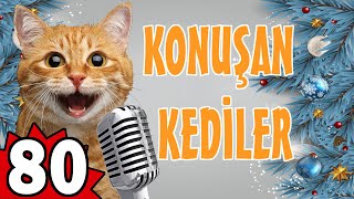 Konuşan Kediler 80 - En Komik Kedi Videoları by Pati TV 126,832 views 10 months ago 9 minutes, 16 seconds