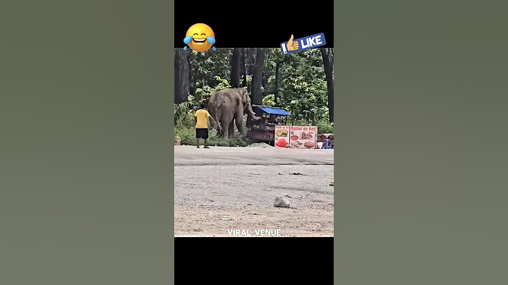 🐘🐘🤣 டப்பா வண்டிக்கு டார்லிங் வேறயா! 🐘🤣