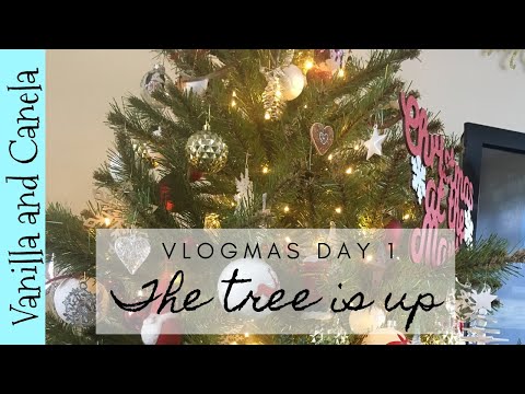 vlogmas-day-1----putting-the-christmas-tree-up