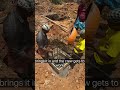 The Art of Precision Concrete Leveling 🏗️ #Shorts
