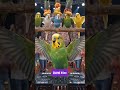 🦜 zweite Ei