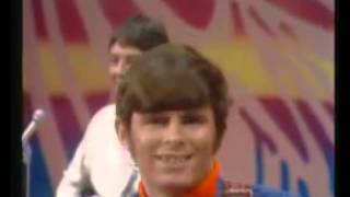 Turtles Happy Together Official Music Video