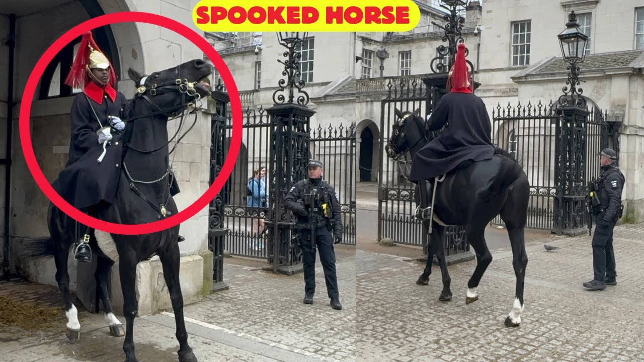 Shocking! King’s Guard Horse Breaks Post Twice, but the guard maintains control with police help.