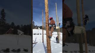 Lineman Training on 30’ pole